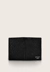 Caigo, the passport case