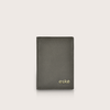 Caigo, the passport case