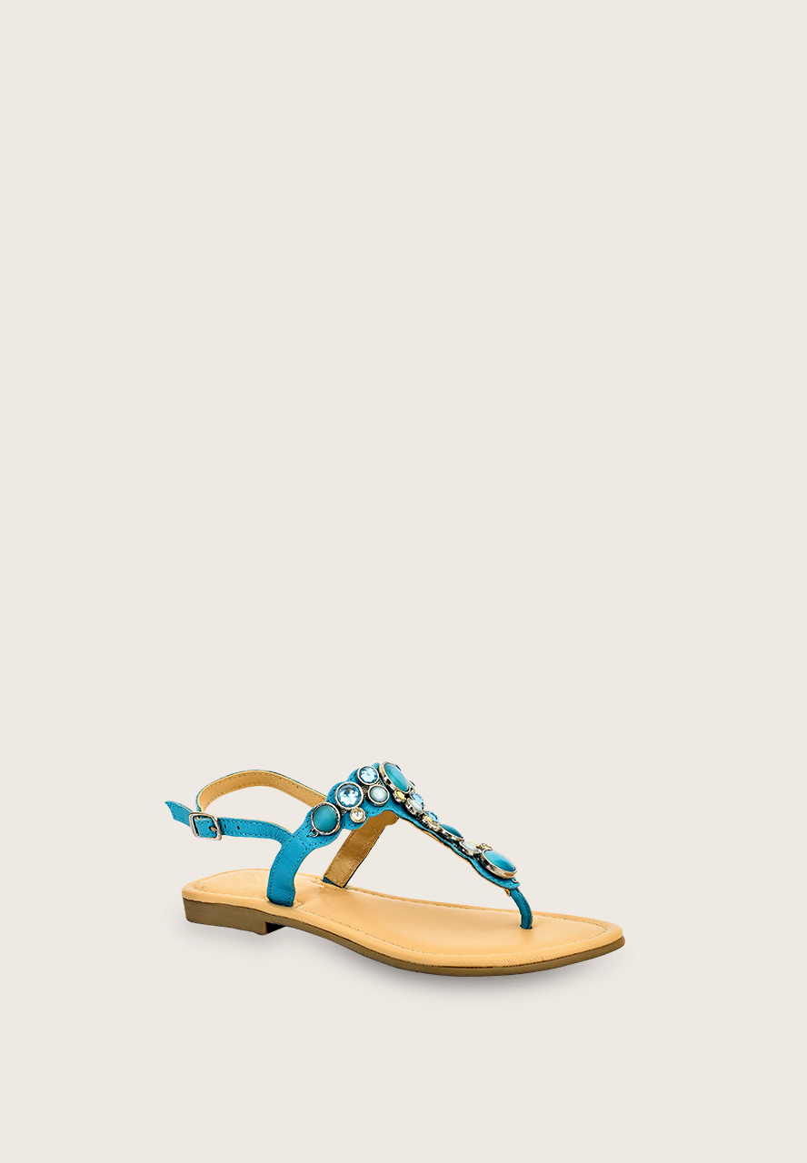 Ary, the t-strap sandals